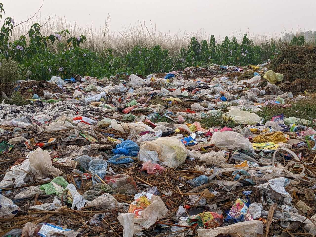 Caption: Representative Image. Field covered in Plastic Bags and other trash. Photo Source: Sohail Nawaz (Pexels)