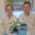 A new method to detect dehydration in plants