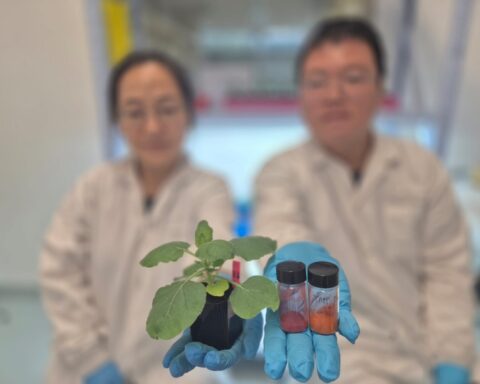 A new method to detect dehydration in plants