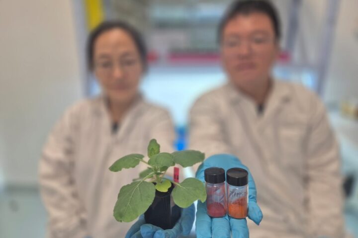 A new method to detect dehydration in plants