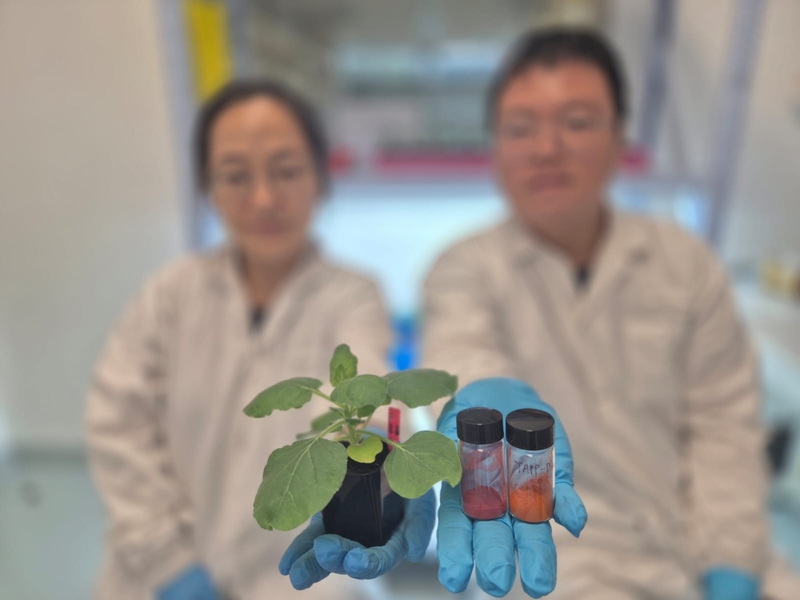 A new method to detect dehydration in plants