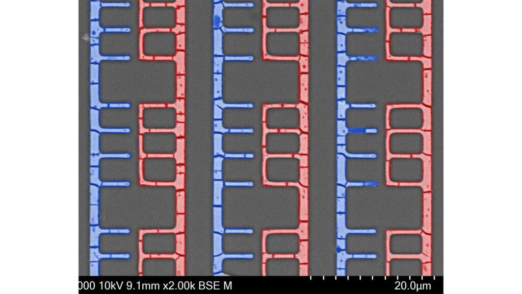 D-Met fabricated patterns produce components for potential use in microelectromechanical systems (MEMS). Image credit: Julia Chang.