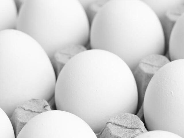 Representative Image. Grayscale Photo of Eggs on a Tray. Photo Source: Renato K. (Pexels)