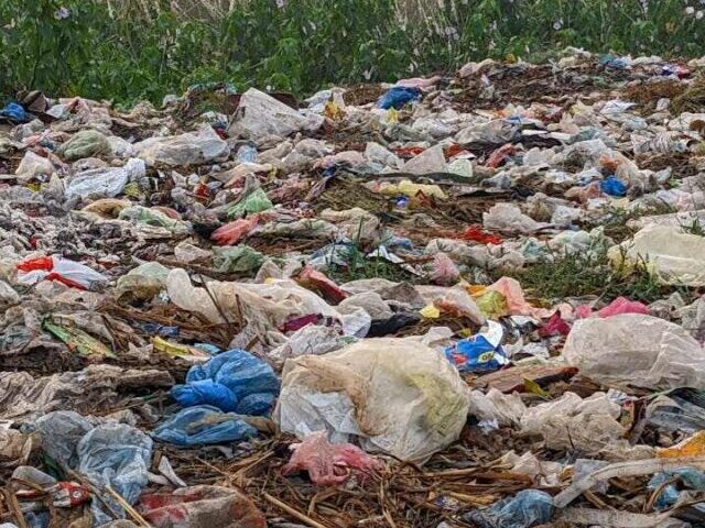 Caption: Representative Image. Field covered in Plastic Bags and other trash. Photo Source: Sohail Nawaz (Pexels)