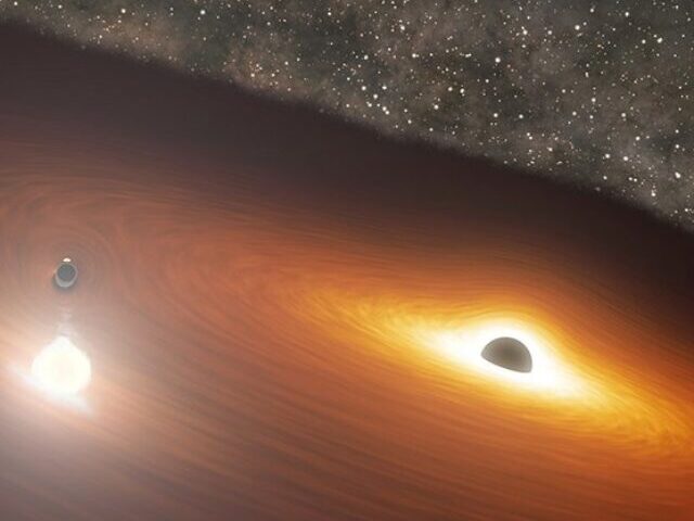 Black Holes.