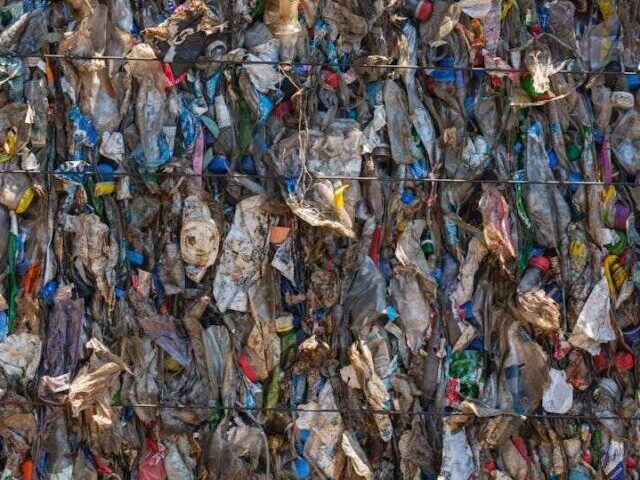 Representative Image. Plastic at the recycling centre. Photo Source: Engin Akyurt (Pexels)