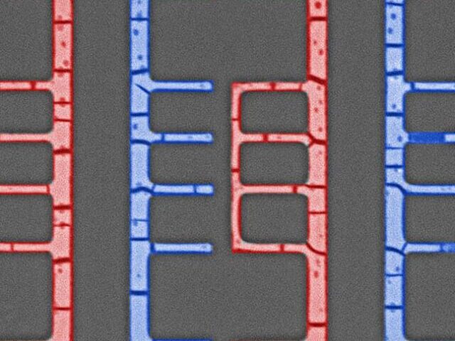 D-Met fabricated patterns produce components for potential use in microelectromechanical systems (MEMS). Image credit: Julia Chang.