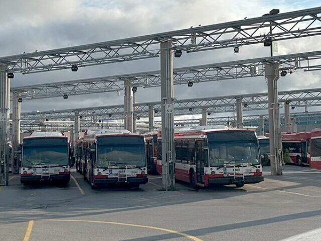 Representative Image. TTC Buses. Photo Source: Toronto Transit Commission