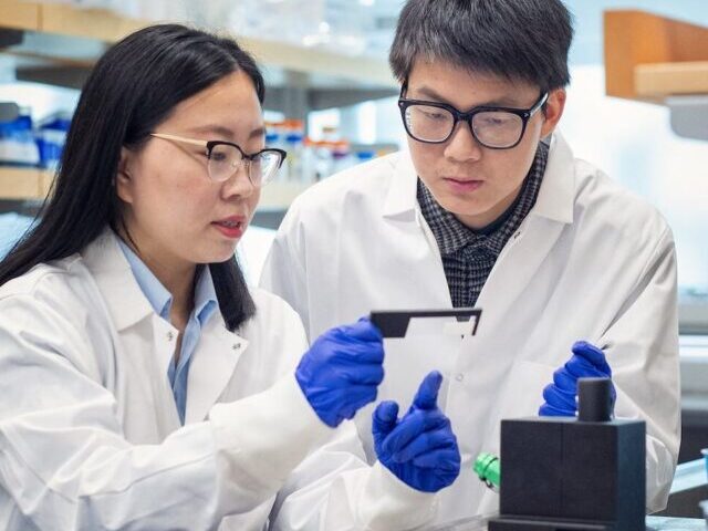 Dr. Tianxi Yang and student Peter Yang. Photo credit: Martin Dee.