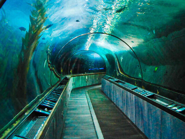 Representative image. Underwater Tunnel. Photo Source: Tolka Rover (CC BY-NC-SA 2.0)