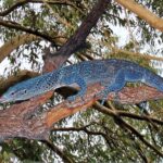 Blue Tree Monitor. Photo Credits: Hectonichus (CC BY-SA 4.0)