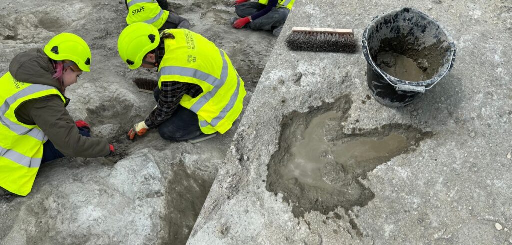 Excavated footprint. Photo Source: Oxford University Museum of Natural History.j