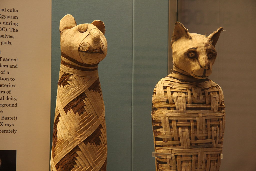 Representative Image. British museum, Egypt mummies of animals