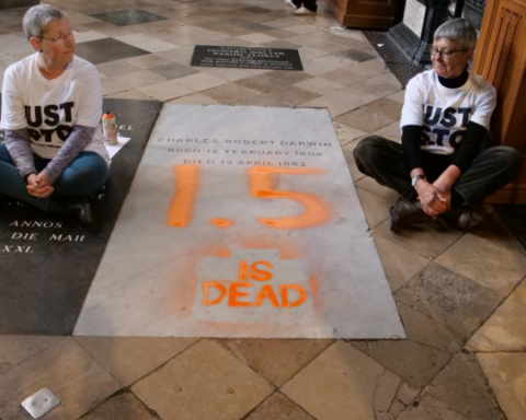 Two climate protesters painted Charles Darwin's grave orange to warn that Earth is getting dangerously hot.