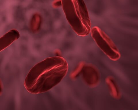 Representative Image. Red Blood Cells. Photo Source: allinonemovie (Pixabay)