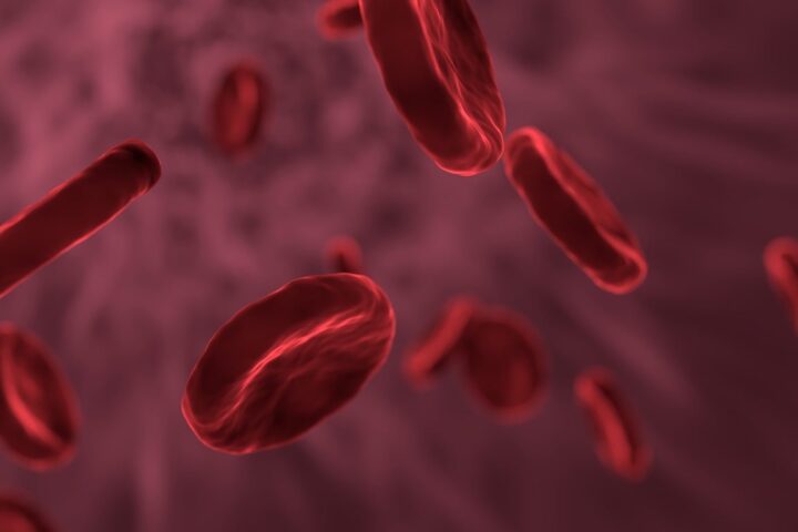 Representative Image. Red Blood Cells. Photo Source: allinonemovie (Pixabay)