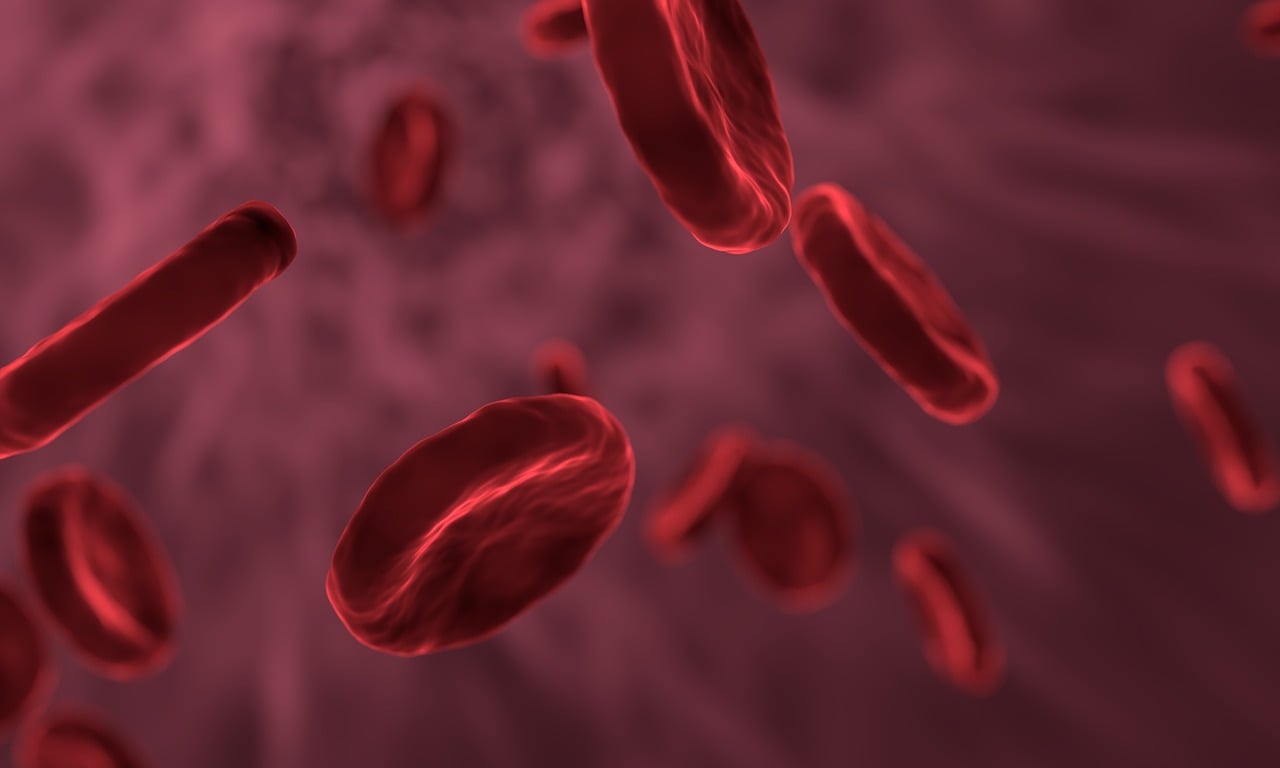 Representative Image. Red Blood Cells. Photo Source: allinonemovie (Pixabay)