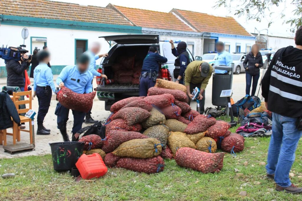 A group of law enforcement officers, involved in seizure operation. Photo Source - EUROPOL