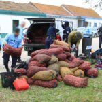 A group of law enforcement officers, involved in seizure operation. Photo Source - EUROPOL