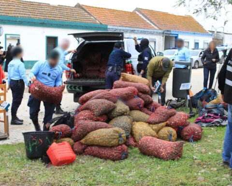 A group of law enforcement officers, involved in seizure operation. Photo Source - EUROPOL