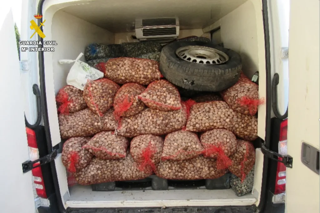 A large quantity of bags filled with nuts. Photo Source - EUROPOL