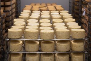 Cheese wheels are neatly arranged on racks in a well-lit storage room.