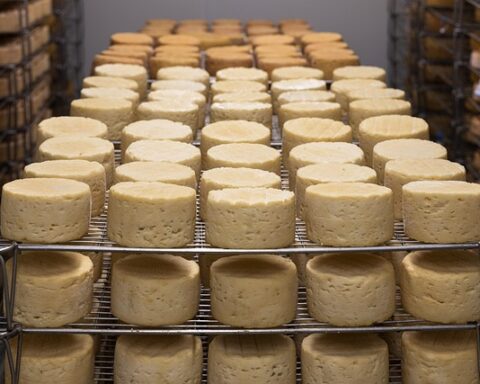 Cheese wheels are neatly arranged on racks in a well-lit storage room.