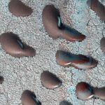 These Martian dunes in Mars' northern hemisphere were captured from above by NASA's Mars Reconnaissance Orbiter using its High-Resolution Imaging Science Experiment (HiRISE) camera on Sept. 8, 2022. Scientists use such images to track the amount of frost that settles on the landforms and then disappears as the weather warms in spring. Martian dunes migrate just like dunes on Earth, with wind blowing away sand on one side of the dune and building up on another. Recent research has shown that winter frost stops the movement of sand grains, locking the dunes in place until the spring thaw. The University of Arizona, in Tucson, operates HiRISE, which was built by BAE Systems in Boulder, Colorado. NASA's Jet Propulsion Laboratory, a division of Caltech in Pasadena, California, manages the Mars Reconnaissance Orbiter Project for NASA's Science Mission Directorate, Washington. Photo Source - NASA/JPL-Caltech