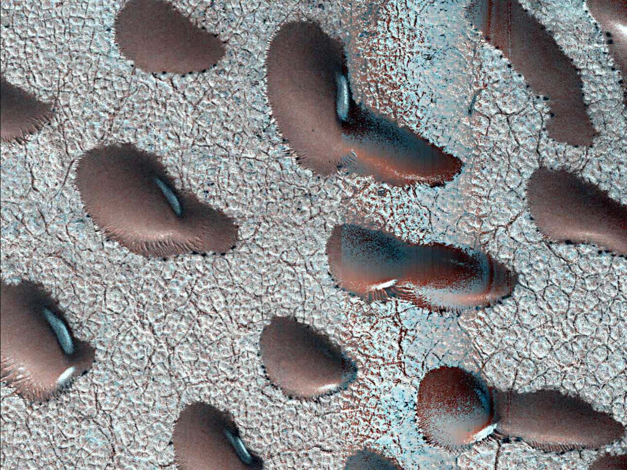 These Martian dunes in Mars' northern hemisphere were captured from above by NASA's Mars Reconnaissance Orbiter using its High-Resolution Imaging Science Experiment (HiRISE) camera on Sept. 8, 2022. Scientists use such images to track the amount of frost that settles on the landforms and then disappears as the weather warms in spring. Martian dunes migrate just like dunes on Earth, with wind blowing away sand on one side of the dune and building up on another. Recent research has shown that winter frost stops the movement of sand grains, locking the dunes in place until the spring thaw. The University of Arizona, in Tucson, operates HiRISE, which was built by BAE Systems in Boulder, Colorado. NASA's Jet Propulsion Laboratory, a division of Caltech in Pasadena, California, manages the Mars Reconnaissance Orbiter Project for NASA's Science Mission Directorate, Washington. Photo Source - NASA/JPL-Caltech