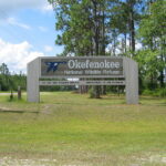 Representative Image. Okefenokee National Wildlife Refuge, Georgia. Photo Source: Frank Kehren (CC BY-NC-ND 2.0)