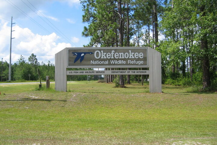 Representative Image. Okefenokee National Wildlife Refuge, Georgia. Photo Source: Frank Kehren (CC BY-NC-ND 2.0)