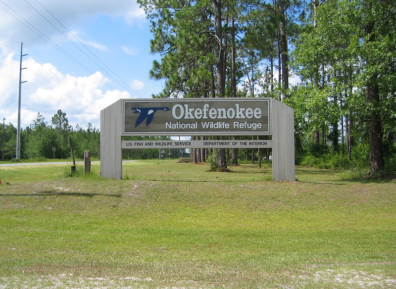 Representative Image. Okefenokee National Wildlife Refuge, Georgia. Photo Source: Frank Kehren (CC BY-NC-ND 2.0)