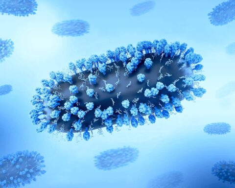 Representative Image. Creative layout featuring 3D renderings of respiratory syncytial virus (RSV), a common contagious virus that infects the human respiratory tract. Photo Source: NIAID (CC BY 2.0)