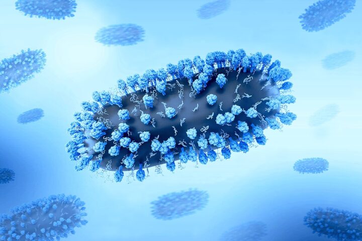 Representative Image. Creative layout featuring 3D renderings of respiratory syncytial virus (RSV), a common contagious virus that infects the human respiratory tract. Photo Source: NIAID (CC BY 2.0)