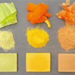 Examples of materials made from fruit and vegetable waste (cabbage, orange, onion). Photo Source: The University of Tokyo