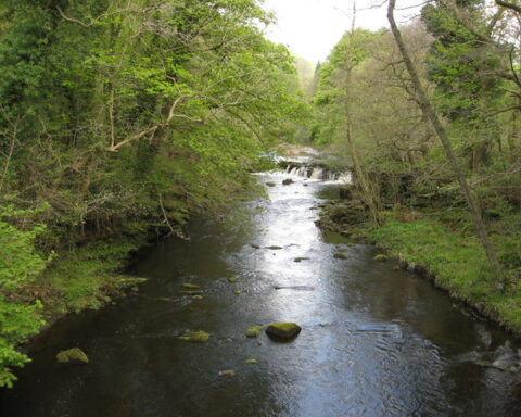 Representative Image. Yorkshire Bridge - View of River Derwent and Waterfall. Photo Source: Alan Heardman