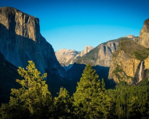 Representative Image.Yosemite Valley with Trees. Photo Source: Freerangestock