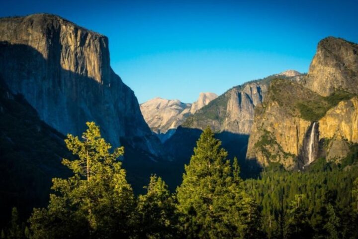 Representative Image.Yosemite Valley with Trees. Photo Source: Freerangestock