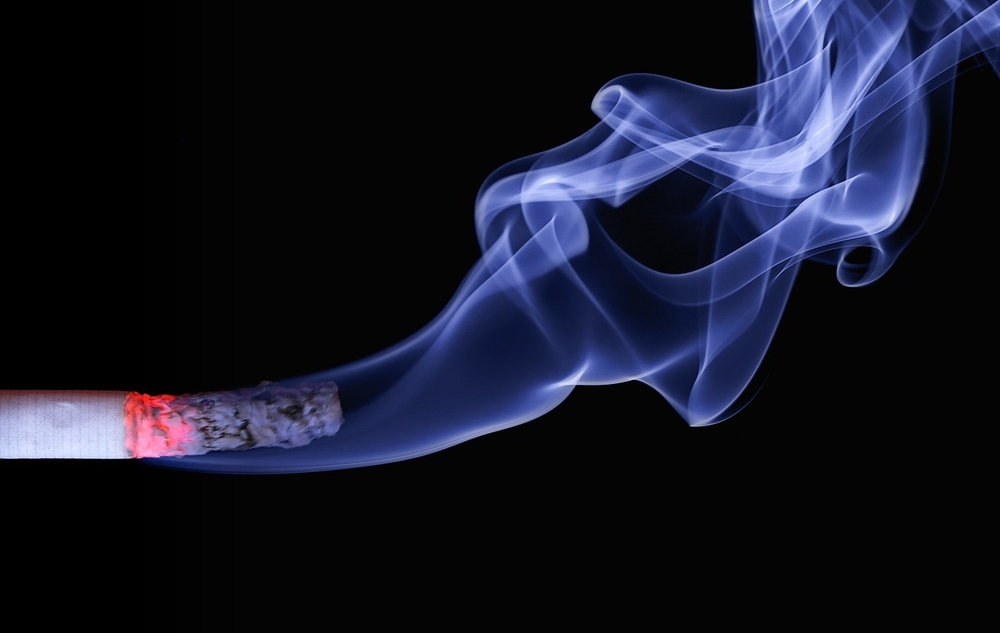 The smoke disrupts the natural defense mechanisms of the lungs by reducing the immune cells, Photo Source: Pixabay