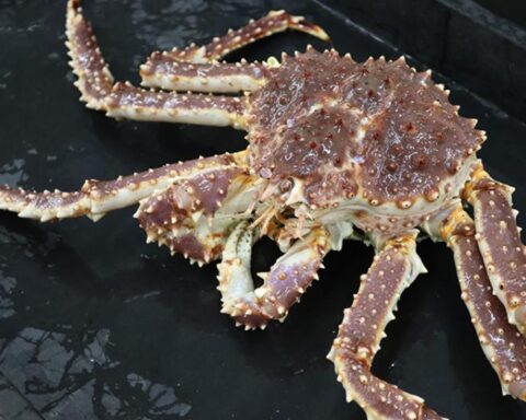 Red king crab on the deck of a research vessel. Credit: NOAA Fisheries / Erin Fedewa