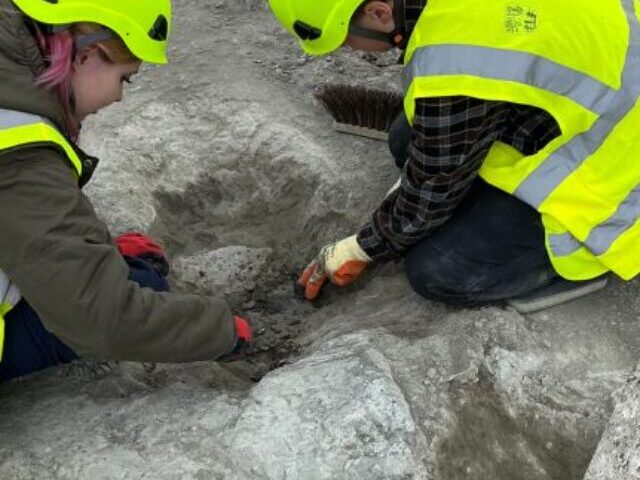 200 Dinosaur Footprints Found in UK's Largest Trackway Site