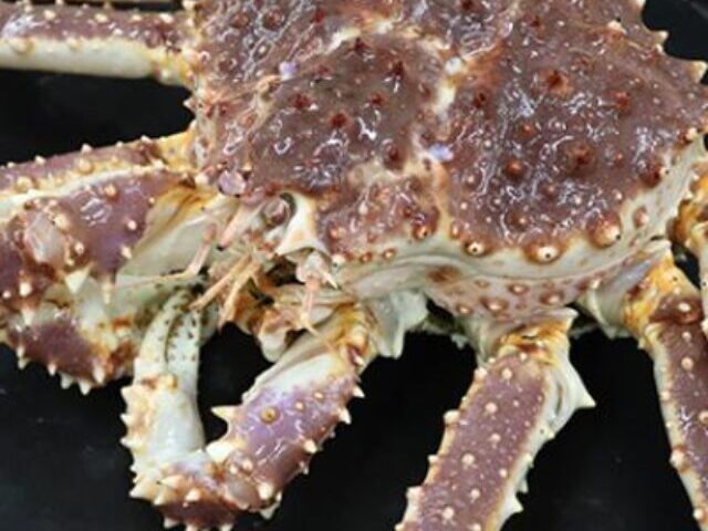 cropped-Alaska-Red-King-Crab-Genetic-Diversity-Doubles-2.jpg