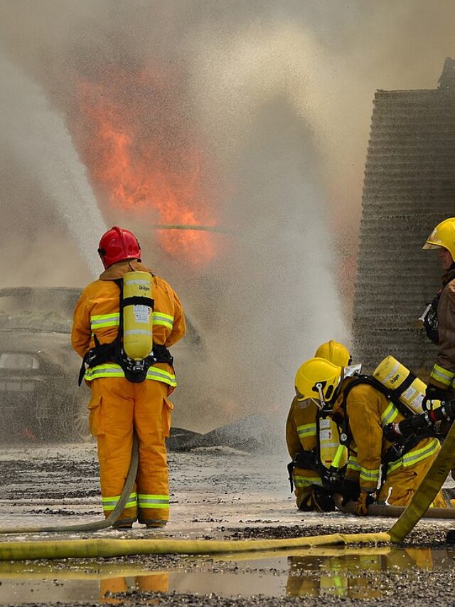 Dallas Pet Shop Fire Kills 579 Animals; Few Survivors