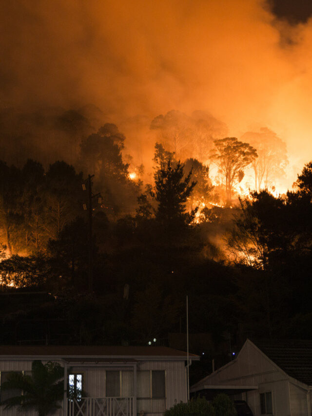 Grampians Bushfire: 76,000 Hectares Burned, 4 Homes Lost, Livestock Decimated