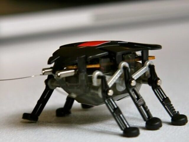 cropped-MITs-Mini-Robots-Fly-17-Minutes-Boosting-Agriculture-2.jpg