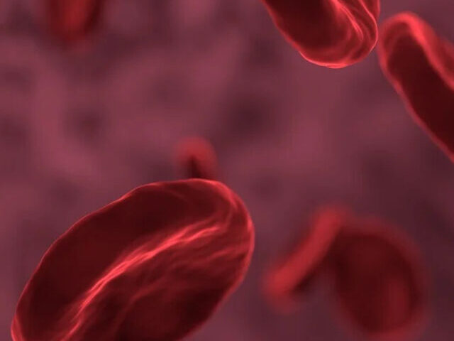 Red Blood Cells