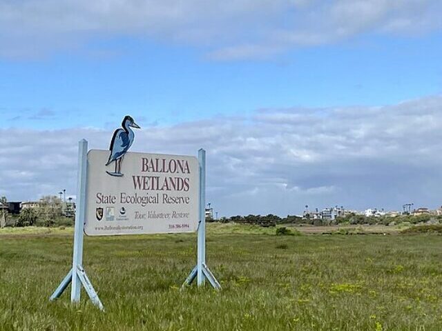 Ballona Wetlands