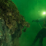 Rocky Baltic Sea coastline with lush green vegetation. Photo Source: WWF