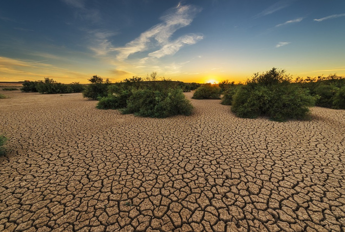 Cracked earth, parched landscape, sparse shrubs, sunset. Photo Source: CABI News.