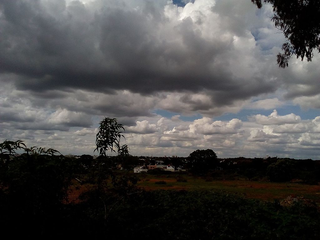 Representative image: Cloudy day without rain.